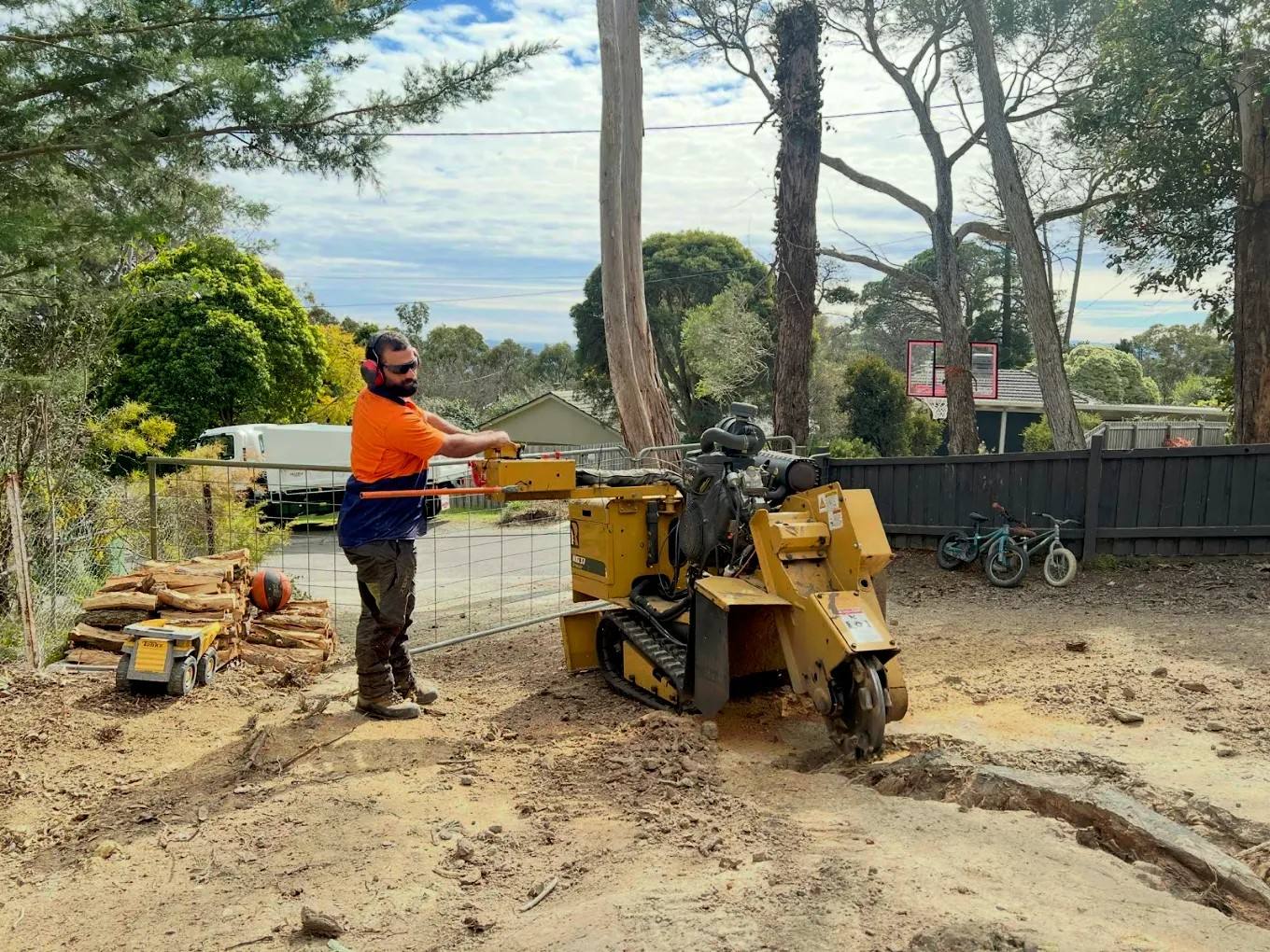 Albert in safety gear operating a stump grinder in a front yard